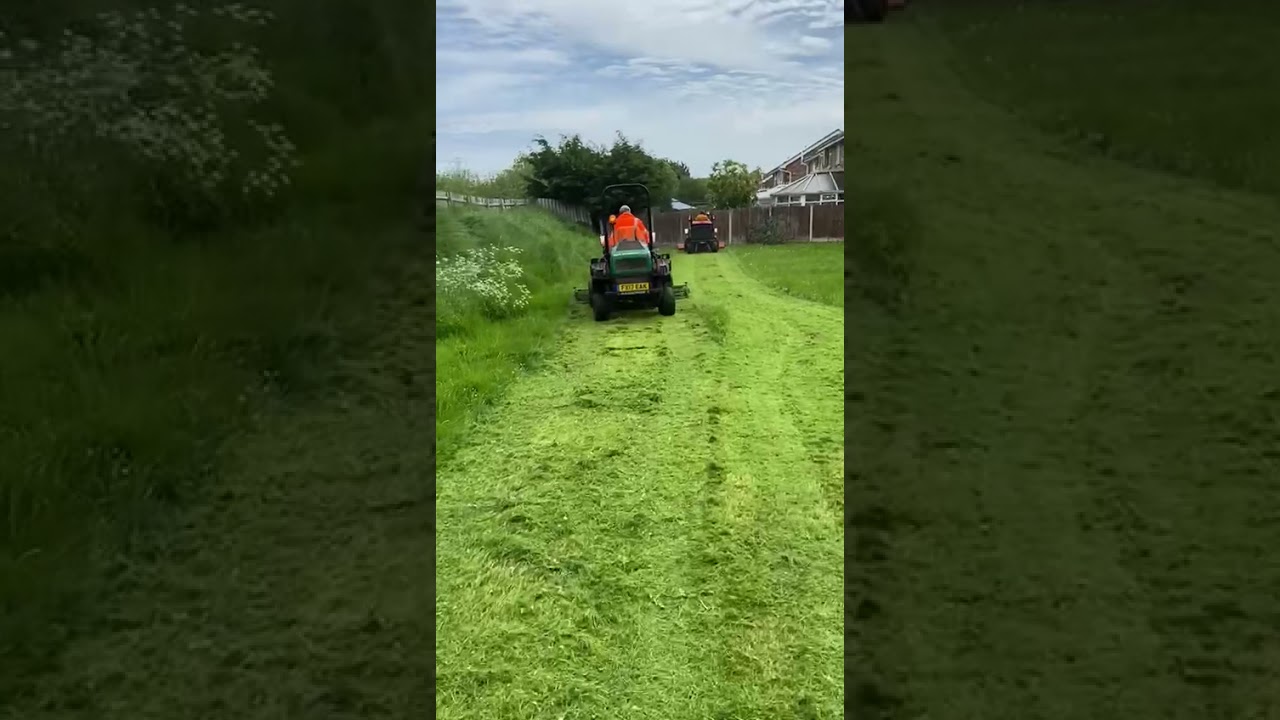 Toro
