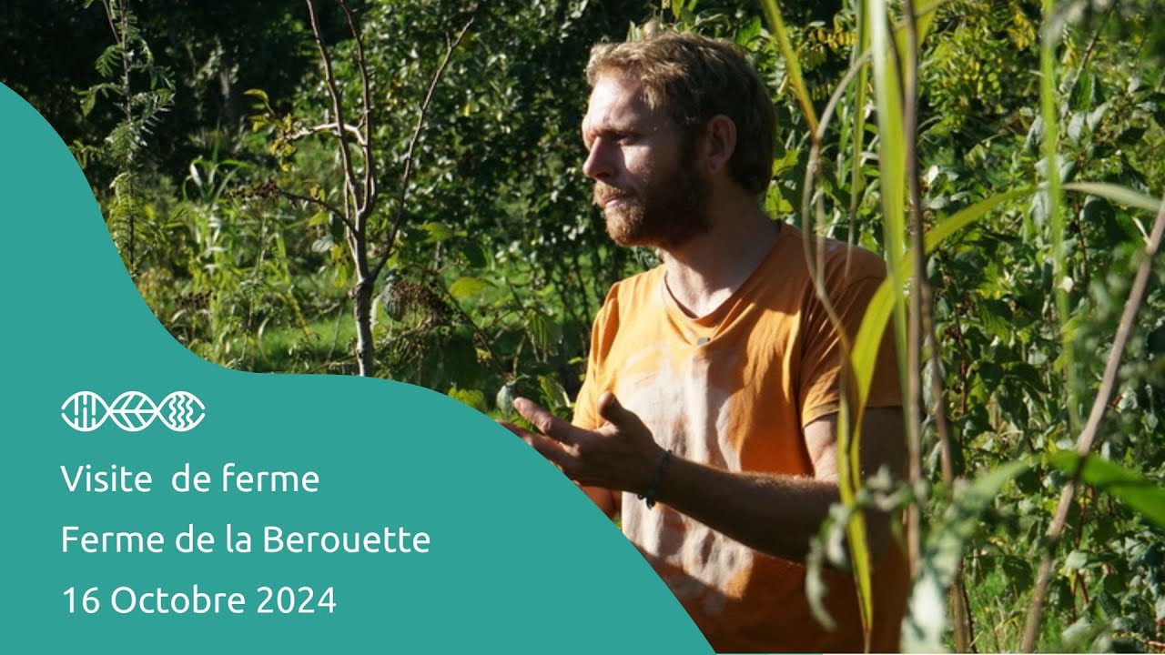 Viste de Ferme - Ferme de la Berouette - 16 Octobre 2024