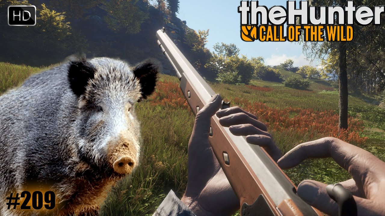 THEHUNTER COTW #209 UNE NOUVELLE CHASSE AUX SANGLIERS SUR HIRSCHFELDEN - CHASSE 2023