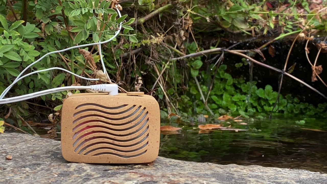 Listening to PlantWave next to a mini waterfall