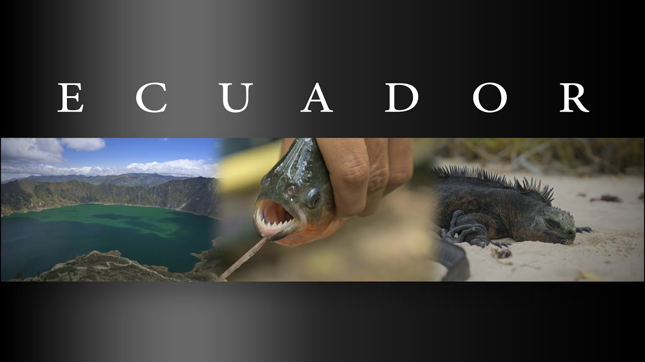 Ecuador - Andes | Amazon | Galapagos