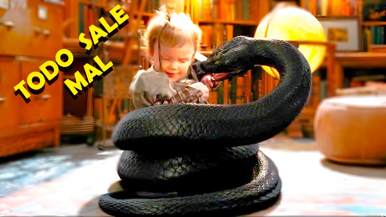 ✅LA COBRA MÁS PELIGROSA DEL MUNDO ( UNA SERIE DE EVENTOS DESAFORTUNADOS)