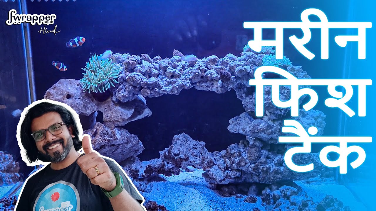 How to Set Up a Marine Fish Tank in HINDI | Easy Step-by-Step Guide
