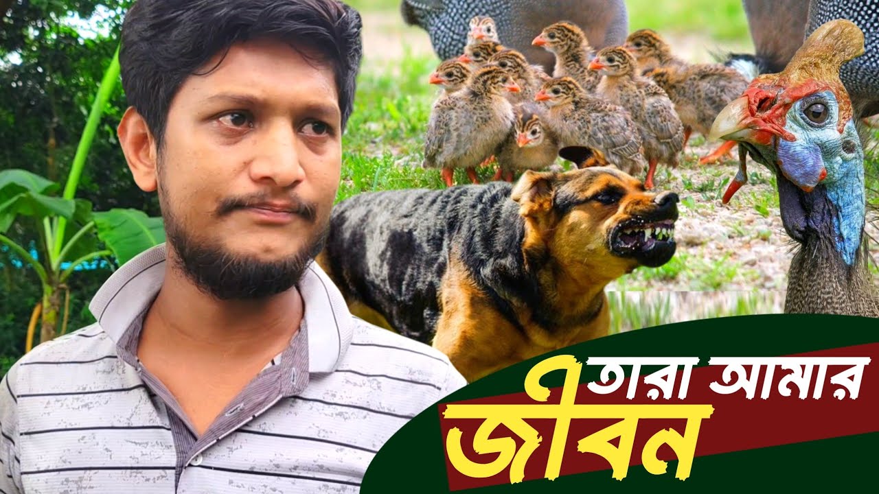 ভালোবাসার প্রানীটার সাথে এমন হবে কখনো ভাবিনি | Sojib Brother
