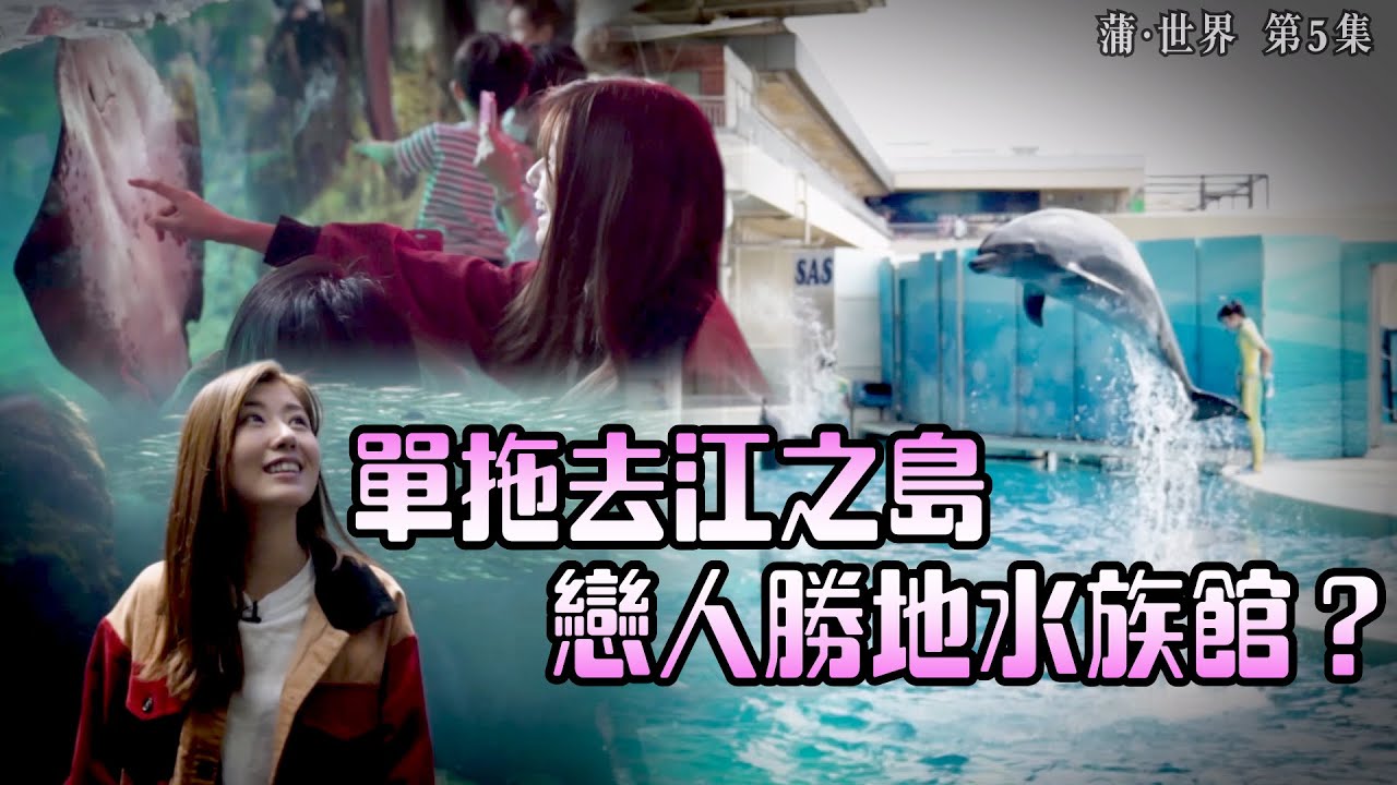 蒲·世界｜單拖去江之島戀人勝地水族館？｜陳嘉慧｜水族館