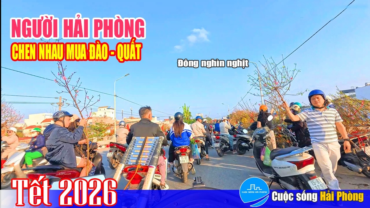 Đông nghịt Người Hải Phòng mua đào quất ở cầu An Dương - Tôn Đức Thắng