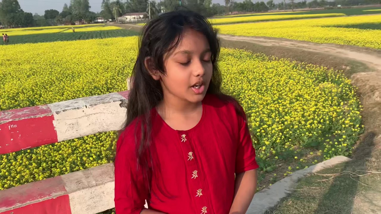 mustard field in Bangladesh