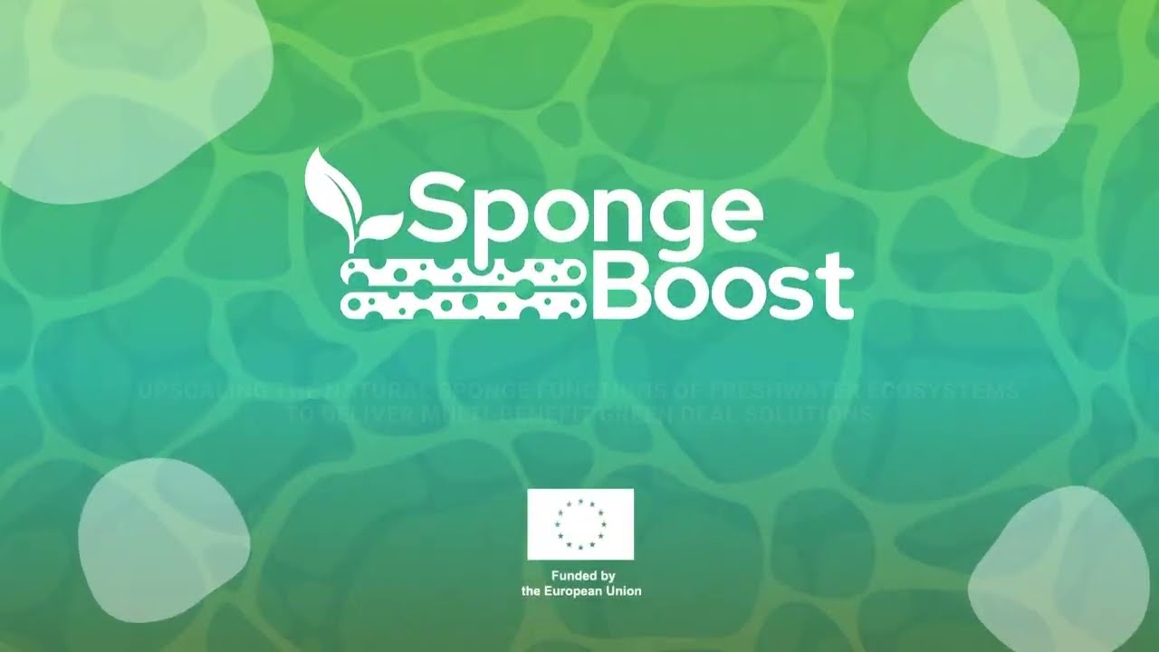 SpongeBoost: Enhancing the natural sponge function of wetlands and soils in Europe