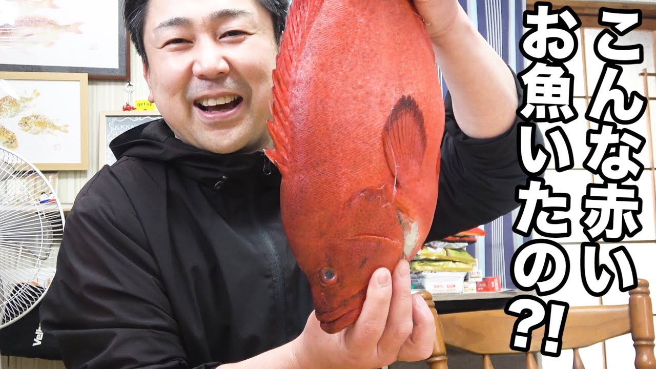 トマトのような赤さ！身はどんなだろう？おいしいのか捌いて食べてみました！！