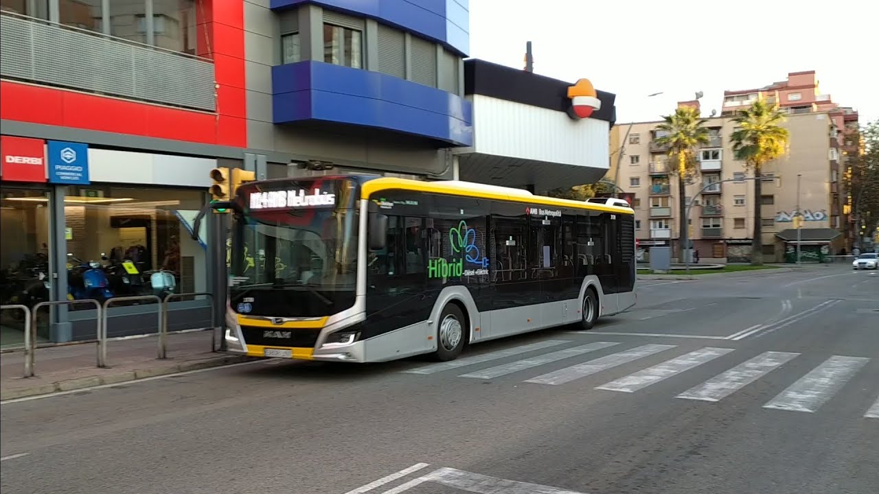 Autobuses urbanos New Lion’s City Efficient Hybrid Rosanbús Hospitalet de Llobregat (Barcelona)