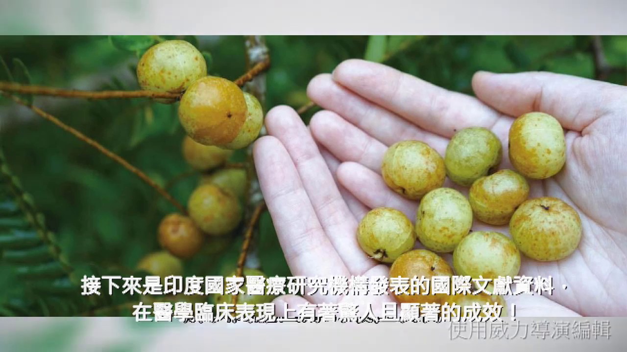 【藥食同源系列】被譽為阿育吠陀的奇蹟～餘甘子 阿姆拉 Amla 的神奇功效 (喬峰老師主講)