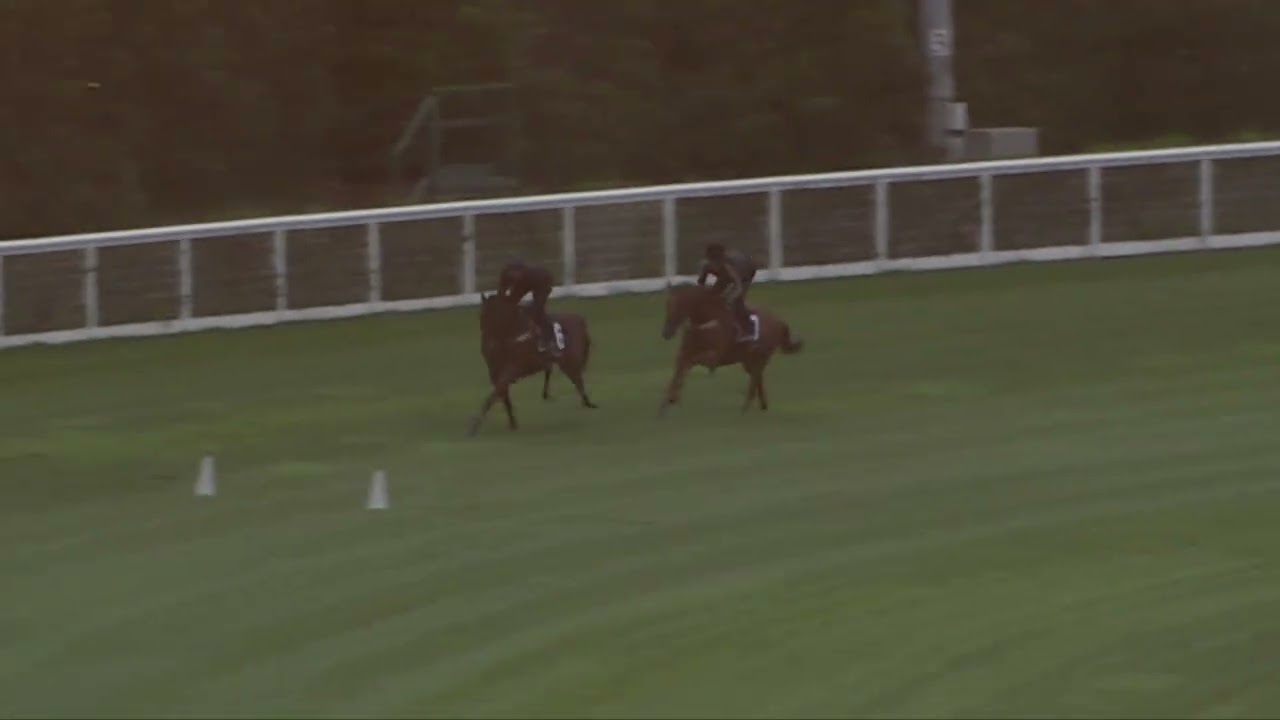 10 March    Gallops 2026    Gallop 4