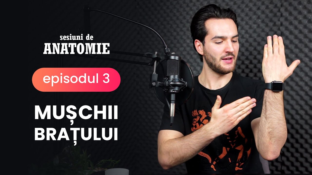 Ep. 3 - Mușchii Brațului @ Sesiuni de ANATOMIE