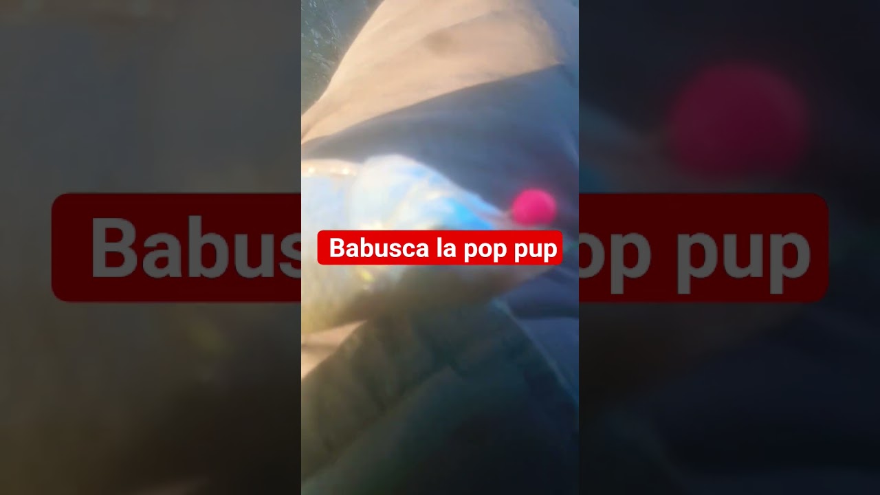 Babusca la pop pup
