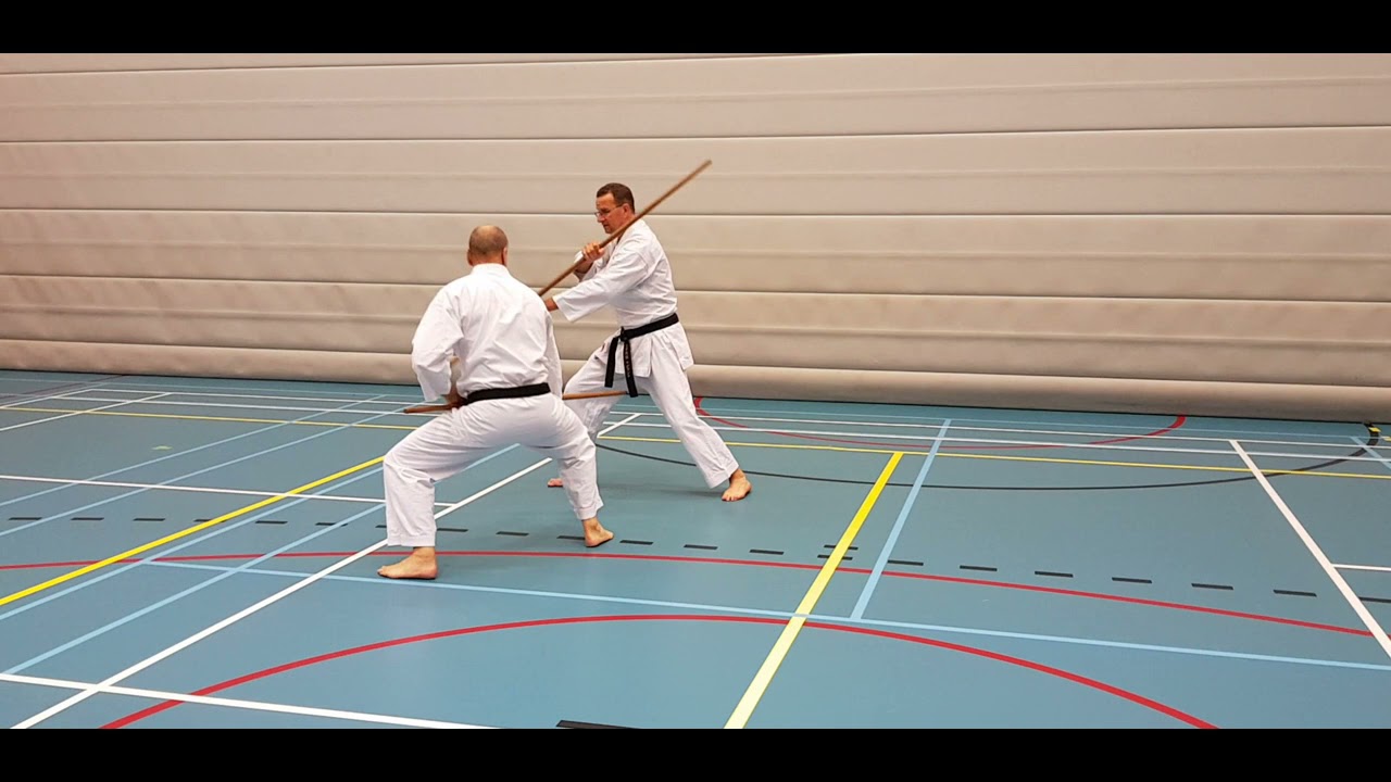 Comprehensive kumite Sakugawa 3