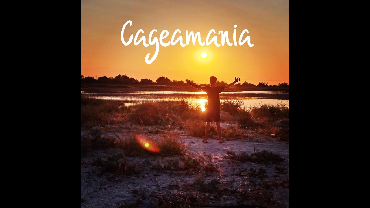 CAGEAMANIA 14