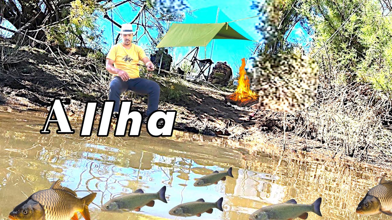 TEM MUITO PEIXE AQUI