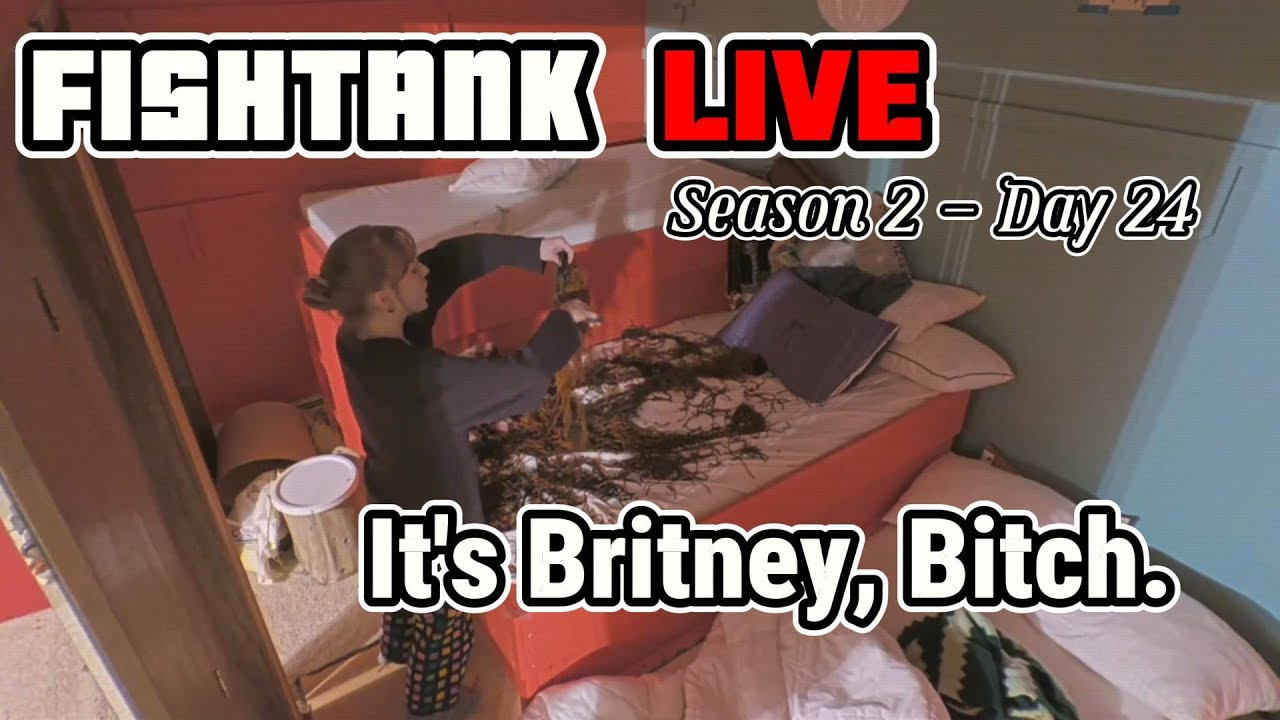 Fishtank LIVE S2 Day 24 - Britney Comes For Tayleigh