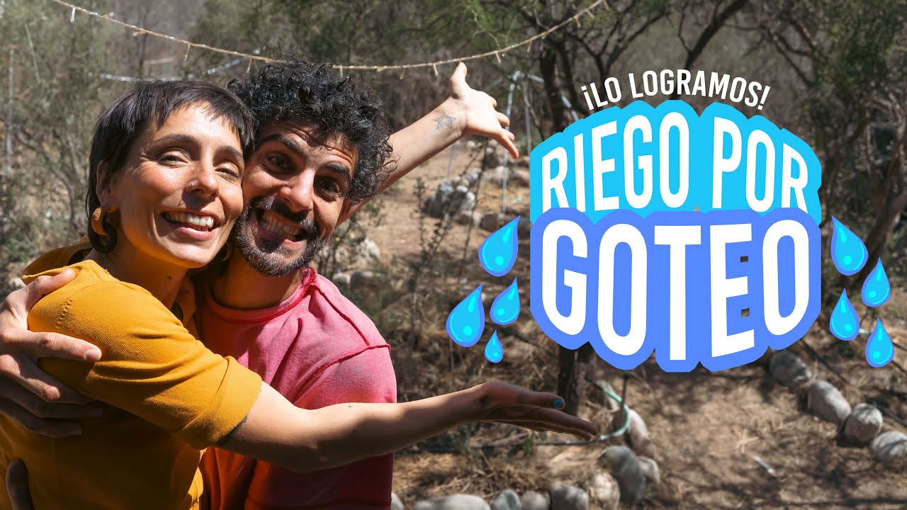 💦 EL MEJOR RIEGO POR GOTEO: Simple, barato e ideal para huerto con curvas