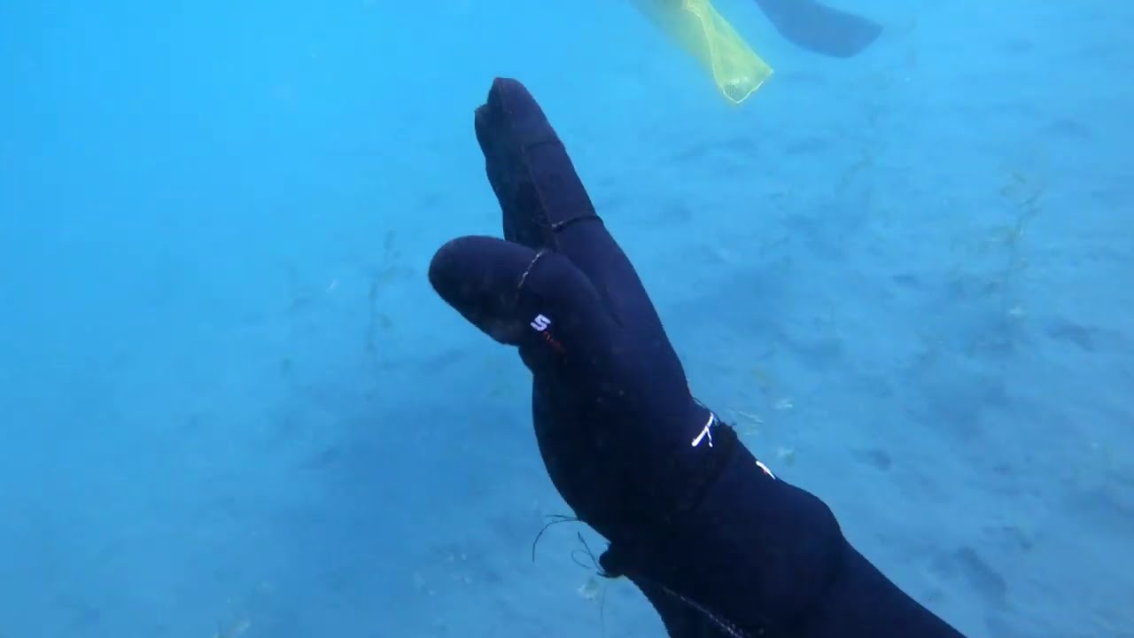 Dive 14: Lake Michigan Traverse City 