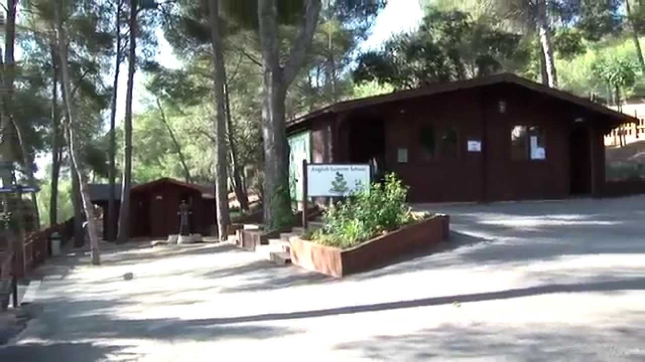 English Summer S.A. Tamarit - Campamentos de Inglés en Verano