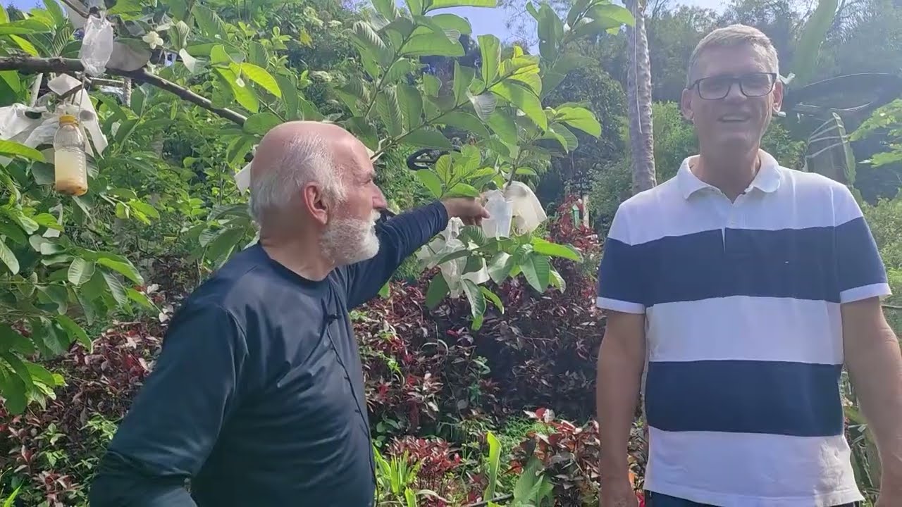 Fruticultura podas e Manejos de Acerola, Goiaba, Citros e Uva com Sergio Semerdjian