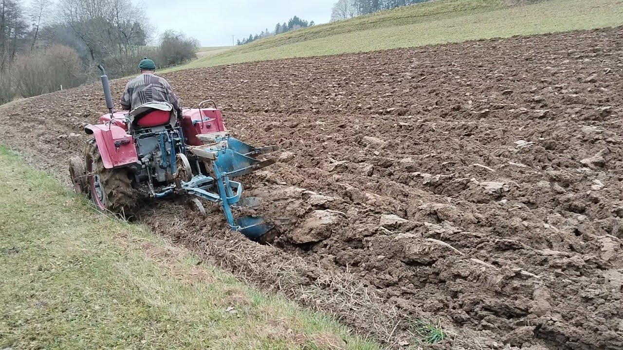 Zetor 25 - orba 2025