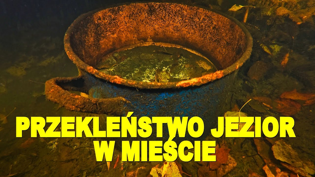 NURKOWANIE  17.11.2024  TRZCIŃSKO-ZDRÓJ JEZIORO MIEJSKIE