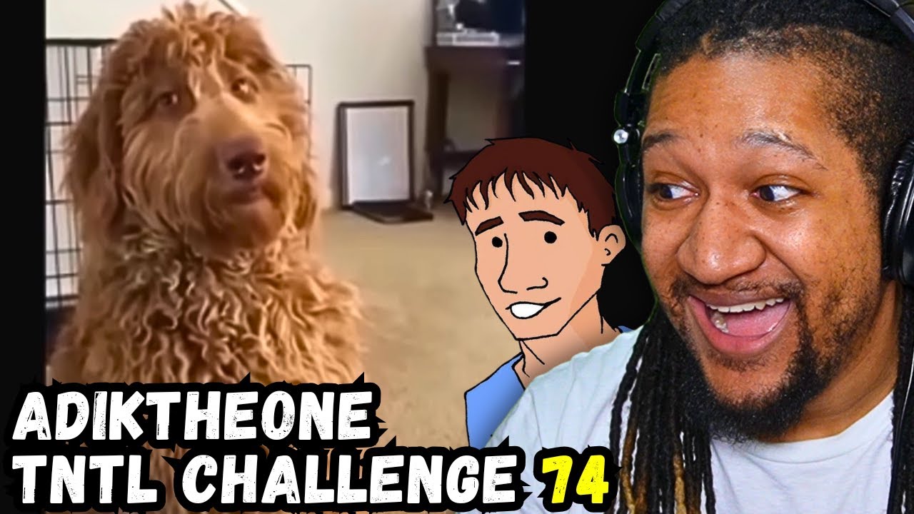 WIDD REACTS: Try not to laugh CHALLENGE 74 - by AdikTheOne