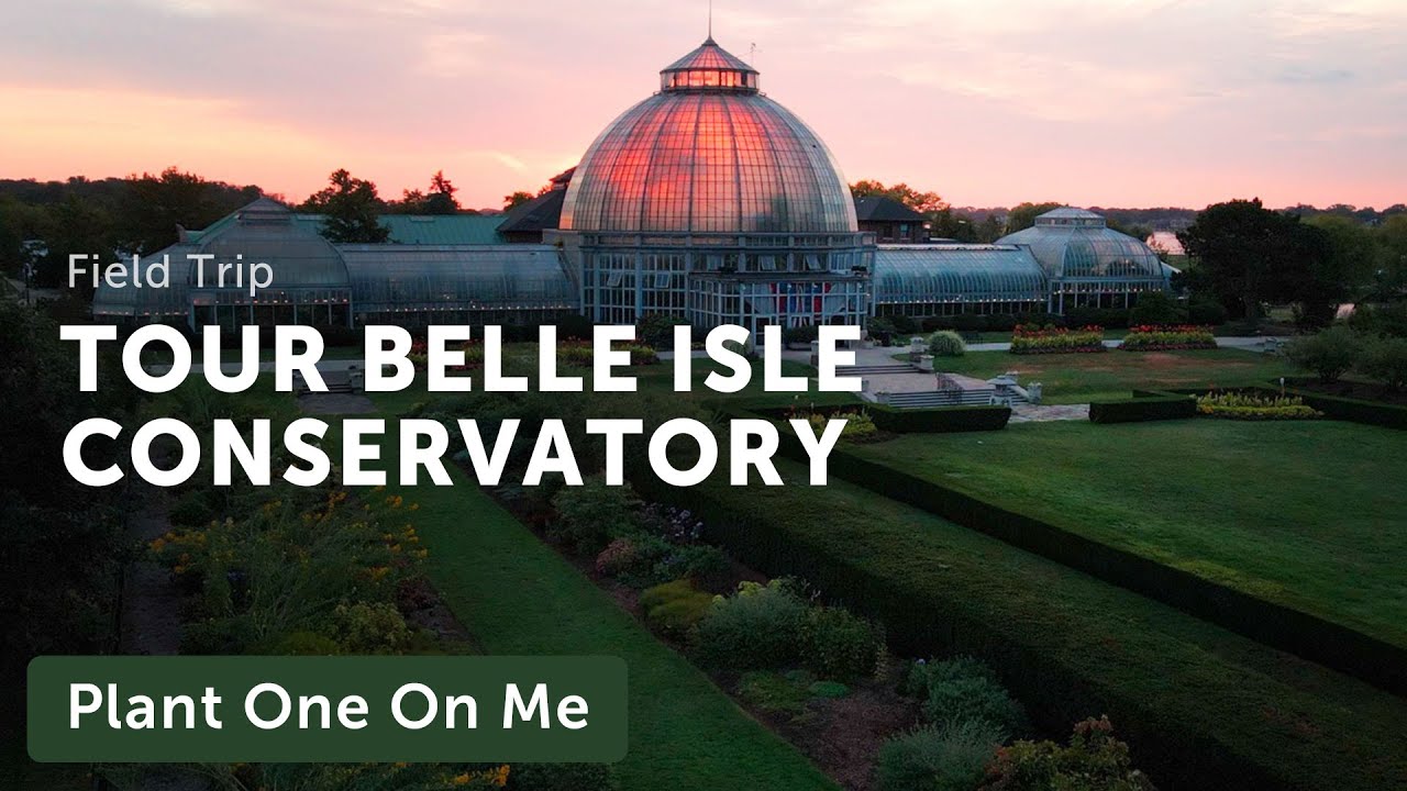 BELLE ISLE CONSERVATORY (Anna Scripps) Tour — Ep. 252