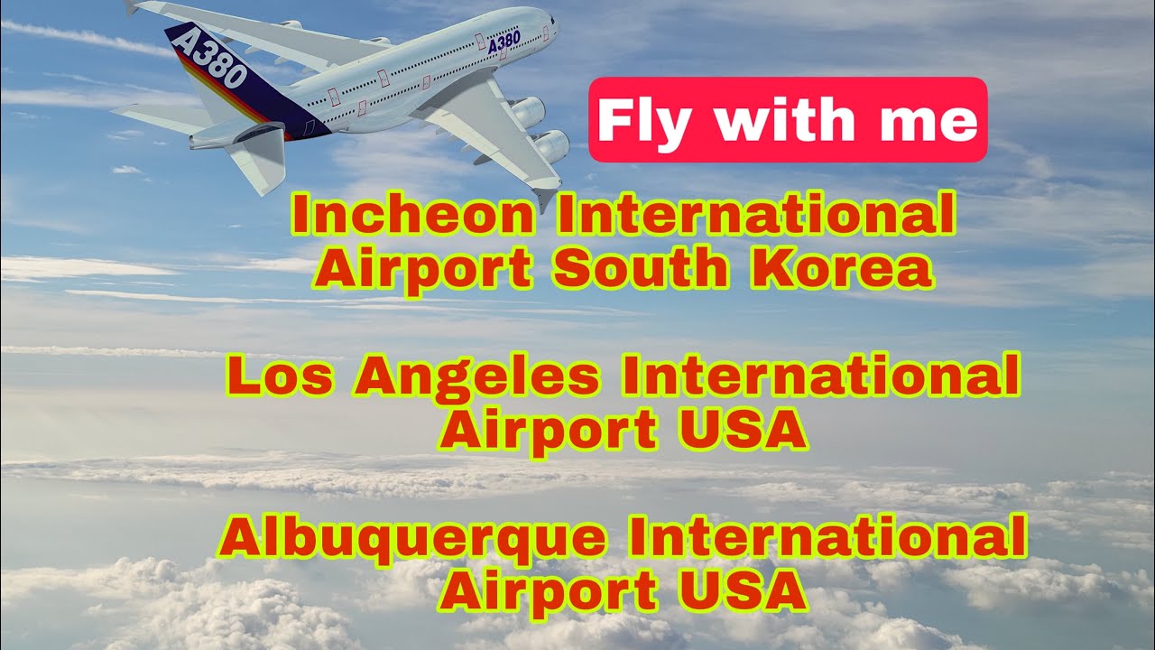During our Flights| South Korea to USA