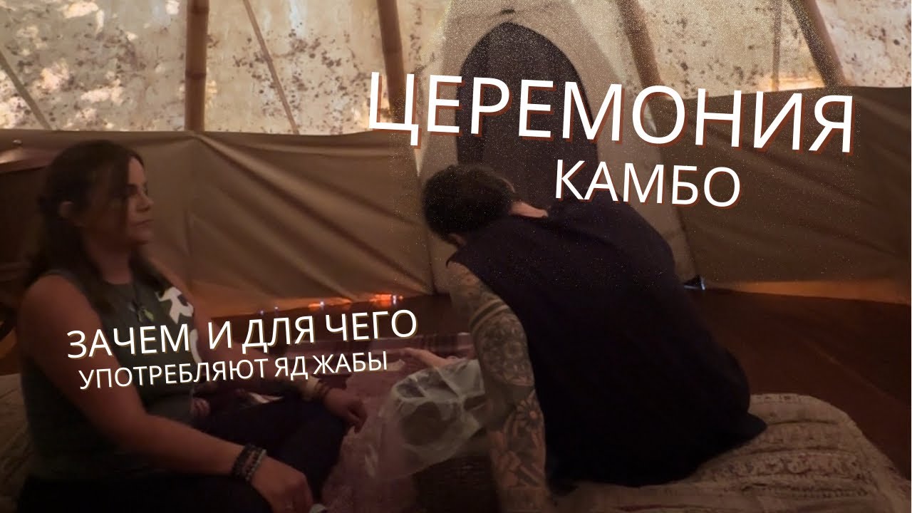 Церемония Камбо. Зачем и для чего употребляют яд жабы. Подготовка к аяваске по мексиканск