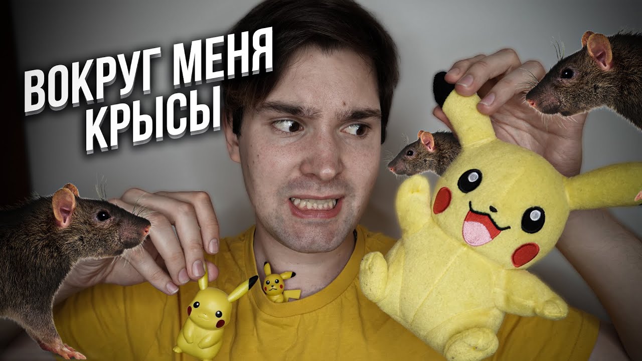 вокруг меня крысы