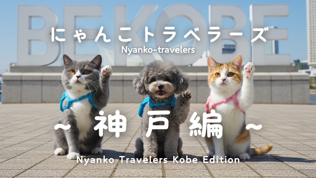 猫たちが神戸へ！親戚ワンコとハーブ園＆夜景を楽しむ旅/Cats Visiting Kobe: Herb Garden, Night Views & Dog Friend Reunion