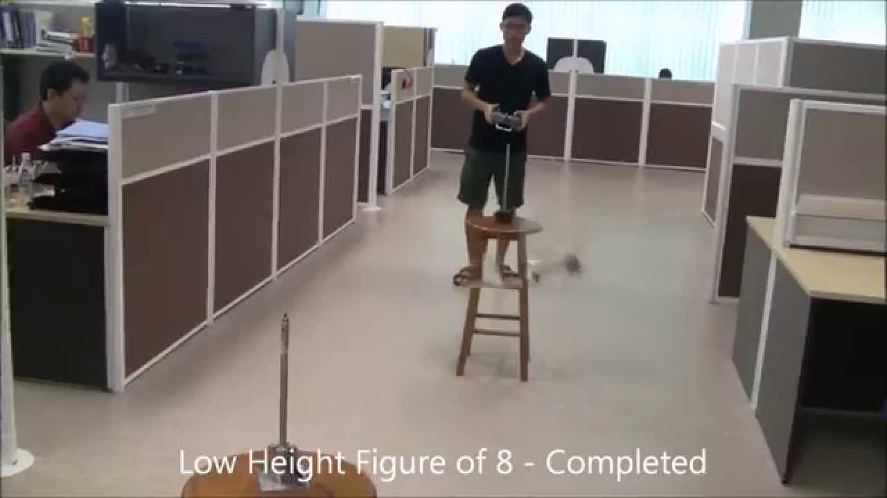 Humbee - The Flapping Wing Robot