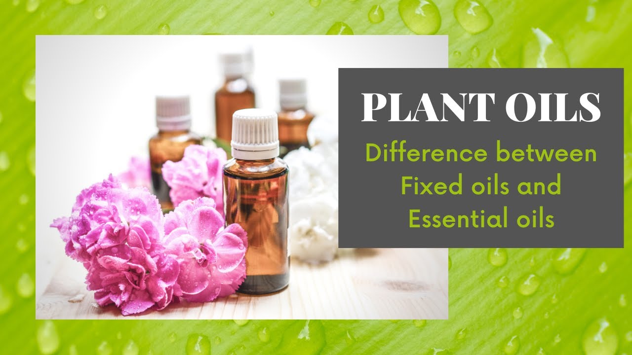 PLANT OILS | FIXED OILS AND ESSENTIAL OILS DIFFERENCE | VOLATILE OILS | PROPERTIES |