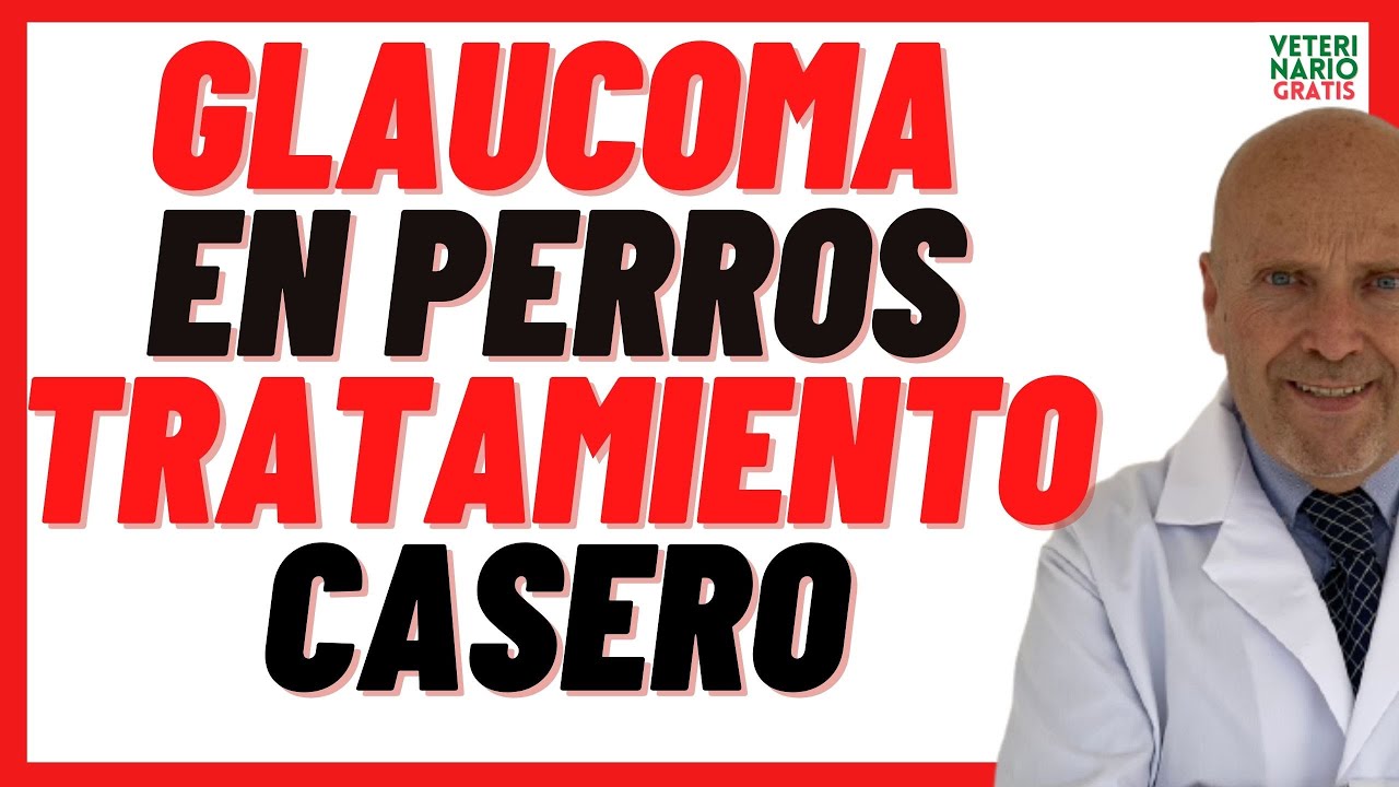 🔵 GLAUCOMA EN PERROS TRATAMIENTO CASERO 🔵con Arándanos, Hinojo y Vitamina A para Perros con Glaucoma