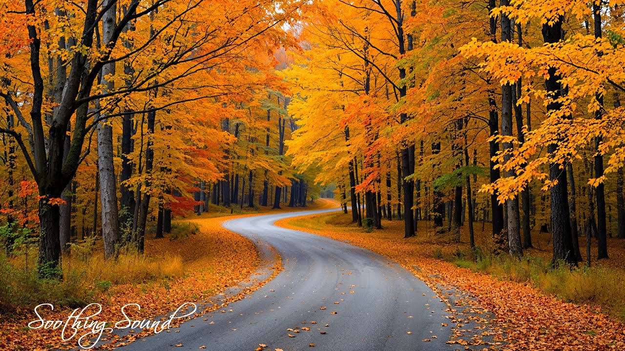 Beautiful Autumn Music 🍁 Calming The Soul With Gentle Tunes