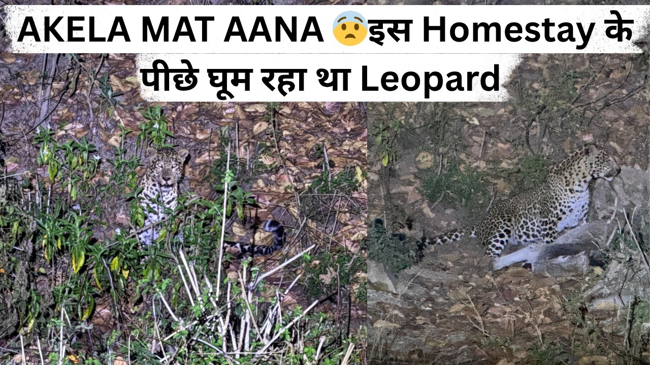 Jim Corbett में इस Homestay के पीछे घूम रहा था Leopard  😨यहाँ कभी अकेले मत आना 😨