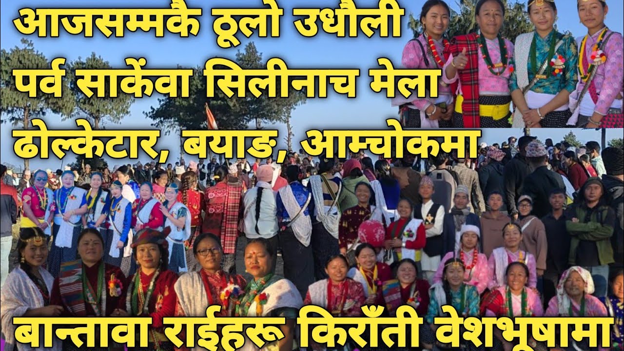 सेमुना सिलीनाचको रौनक ढोल्केटारमा भव्य।। उधौली पर्व साकेंवा सेवा आम्चोक -६,बयाङ#bhojpur#raiculture
