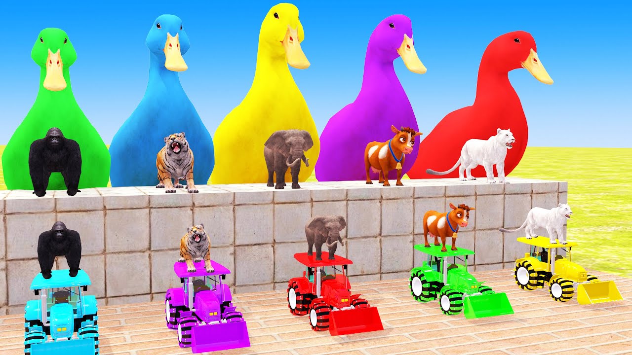 Long Slide Game With Cow Elephant Gorilla Hippopotamus Tiger 3d Animal Game Funny 3d Animals