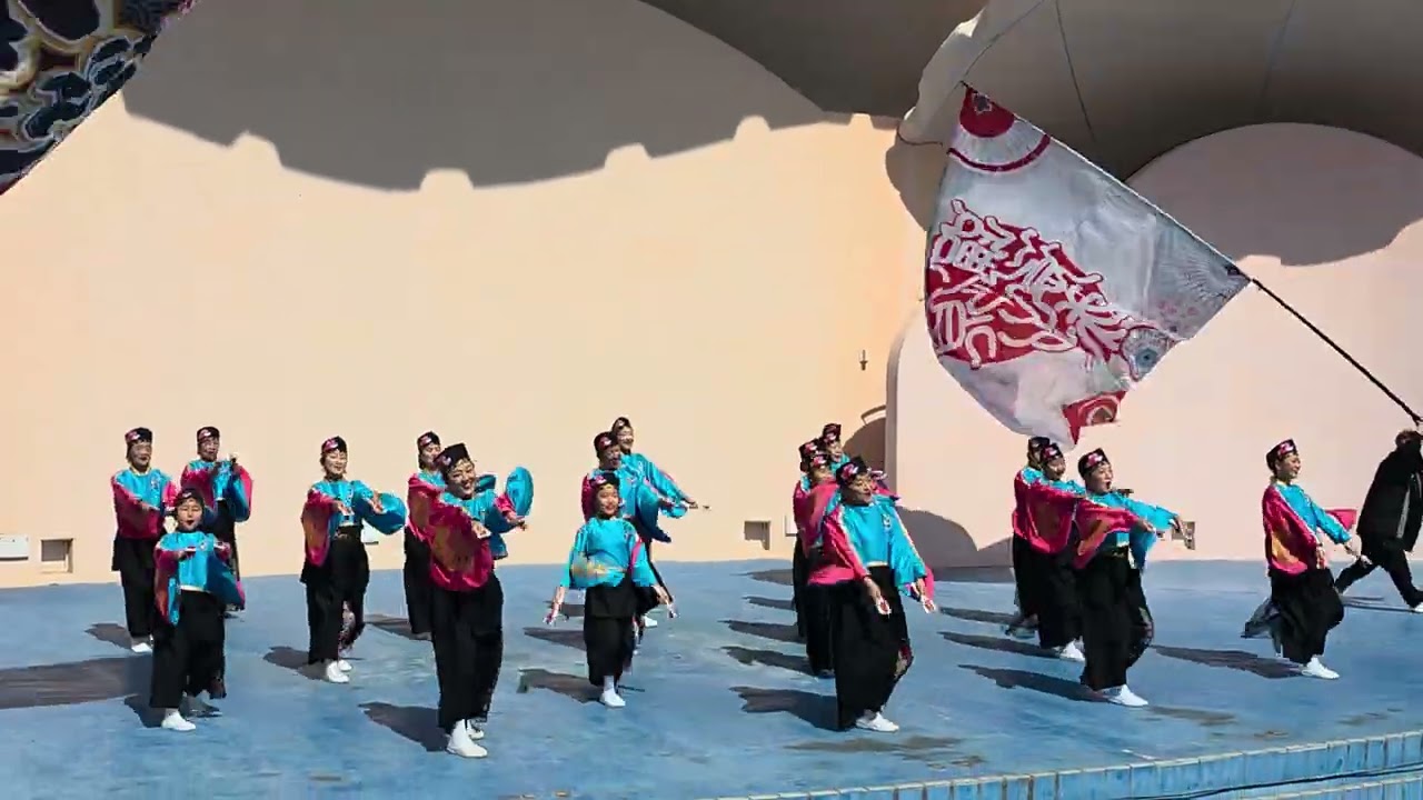 3月1日　貝塚よっちょれ祭　泉州ソーリャ踊り子隊さん