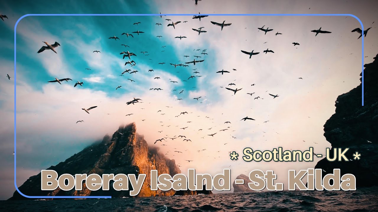 [Scotland] Explore St Kilda, 🐦 | Gannets, Soay Sheep & North Atlantic Views | Silver Wind Expedition