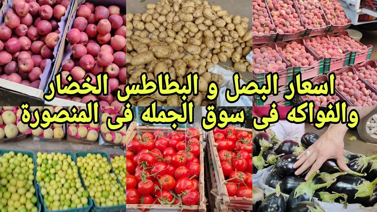 انخفاض اسعار البصل و الطماطم و رتفعاع الخيار و الليمون و البطاطس 💸 فى سوق الجمله فى المنصورة