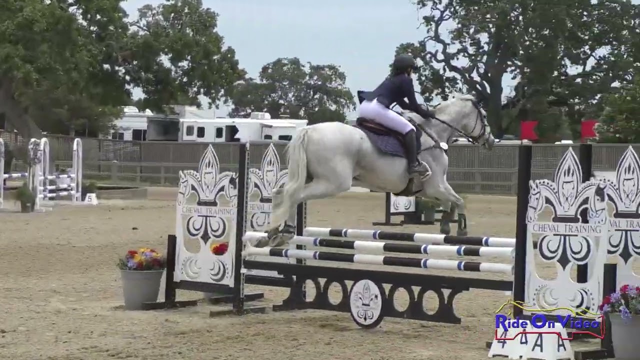 201S Jacy Humphries on Bold Dredger SR Novice  Show Jumping Woodside May 2023