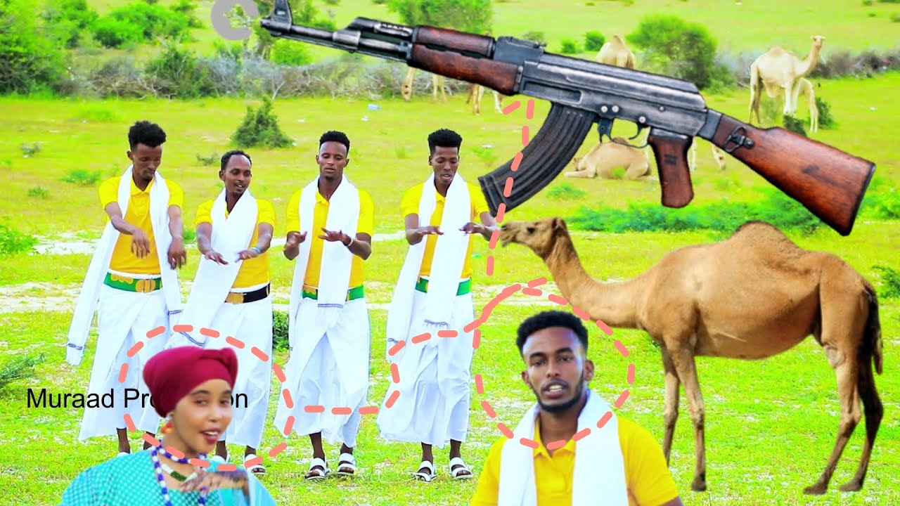 DHAANTO CUSUB DHIBIC ROOB BASHIIR BILE GOBAAD GEENYO NEW VIDEO DHAANTO KOOXDA BANAADIR BAND