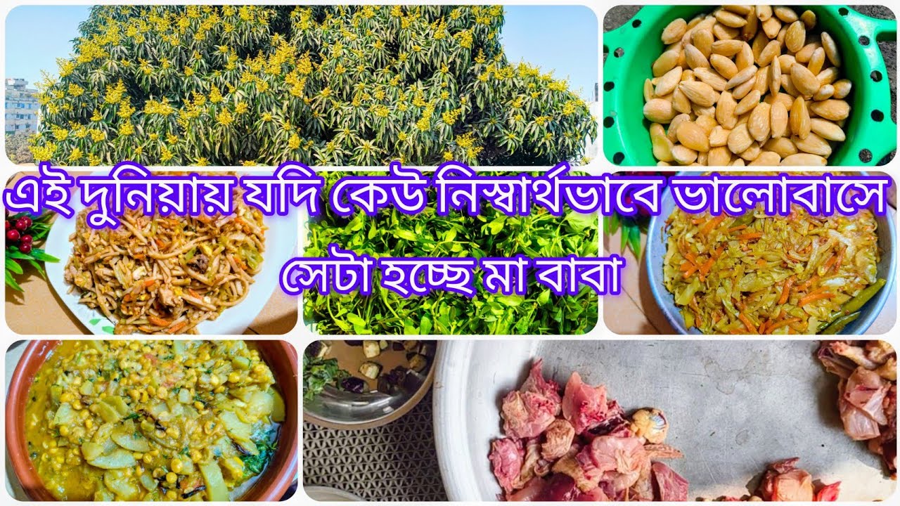 ✨এই দুনিয়ায় যদি কেউ নিঃস্বার্থভাবে ভালোবাসে সেটা হচ্ছে মা-বাবা ☺️☺️
