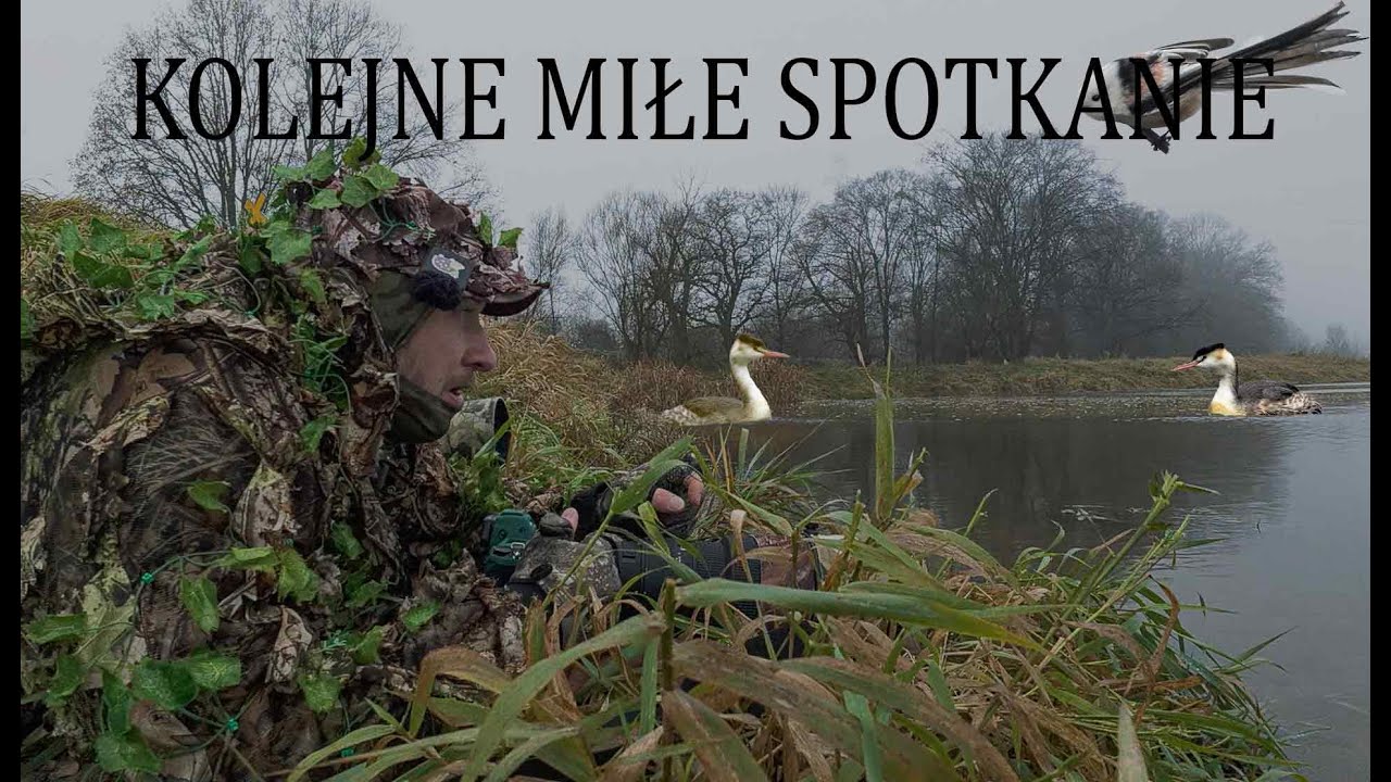 JAK FOTOGRAFUJEMY PTAKI WODNE/ MGLISTY PLENER /SONY/NIKON/PTAKI ZIMĄ//Z EDWINEM W TERENIE//