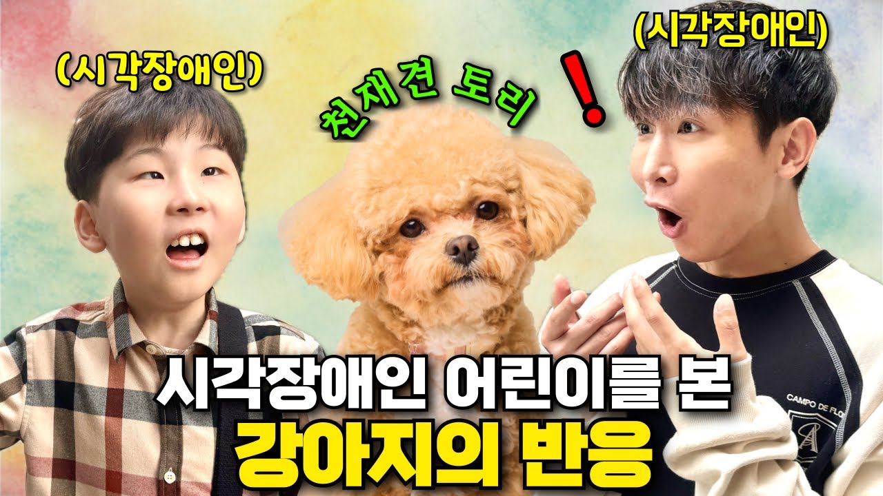 &ldquo;너 우리가 안보이는 걸 알아?&rdquo; 시각장애인 어린이를 본 강아지의 놀라운 반응