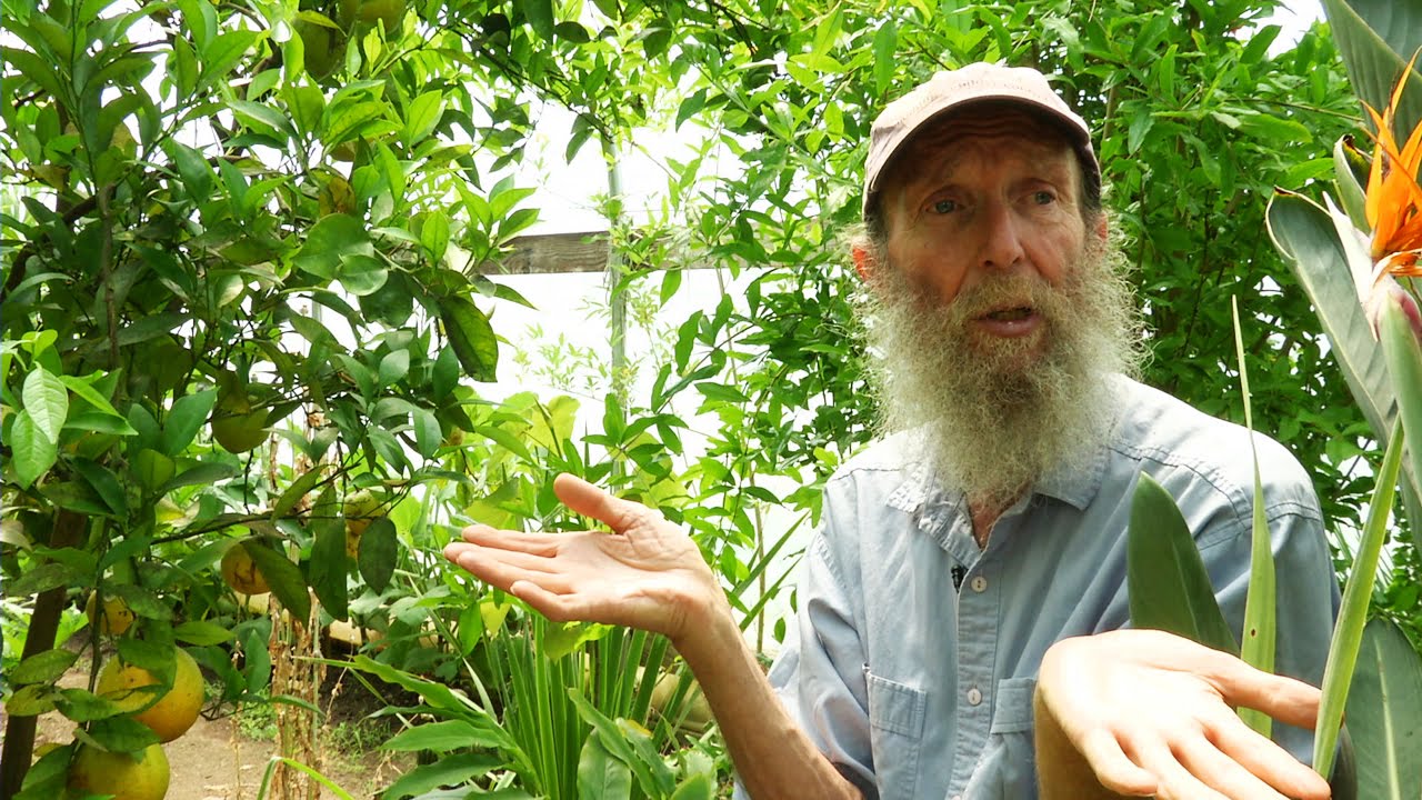 A Closer Look at GMOs with Alan Kapuler